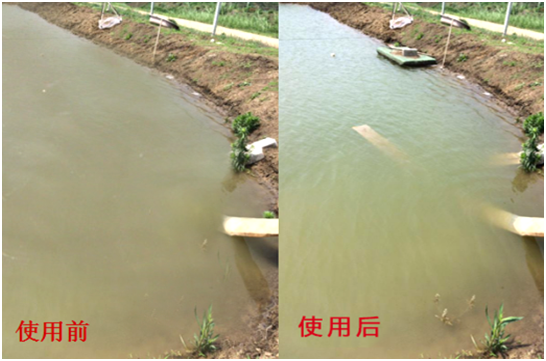 渾濁水、對蝦吃料差怎么處理？